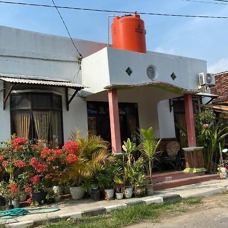 Owl Hostel 卡里蒙贾瓦 外观 照片