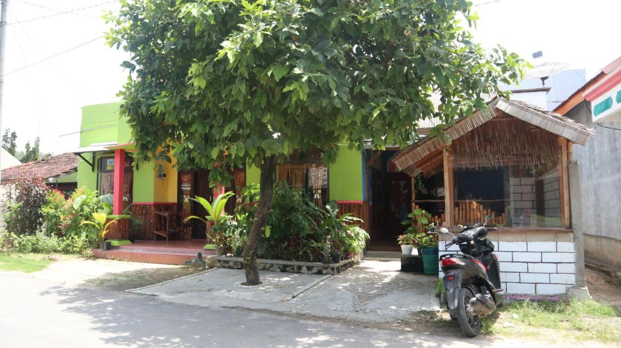 Owl Hostel 卡里蒙贾瓦 外观 照片