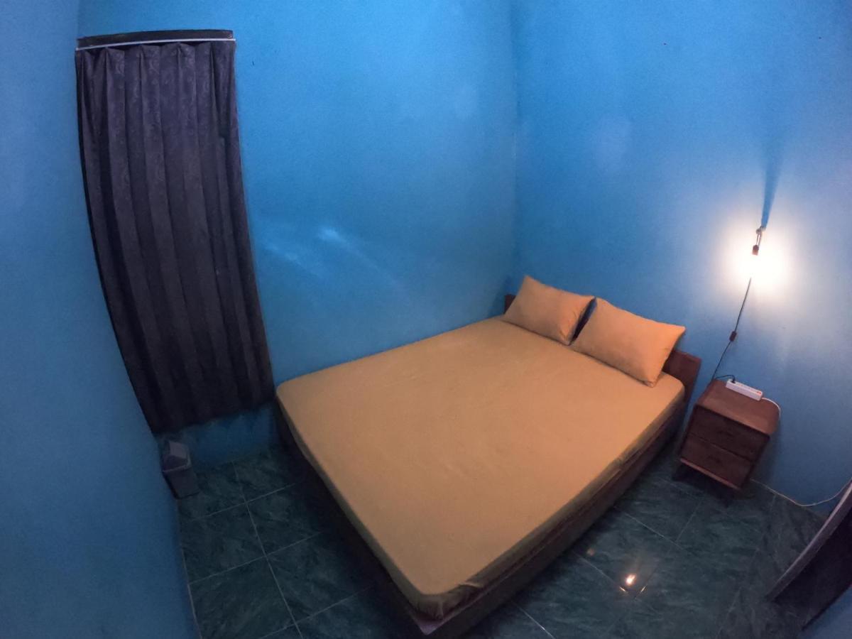 Owl Hostel 卡里蒙贾瓦 外观 照片