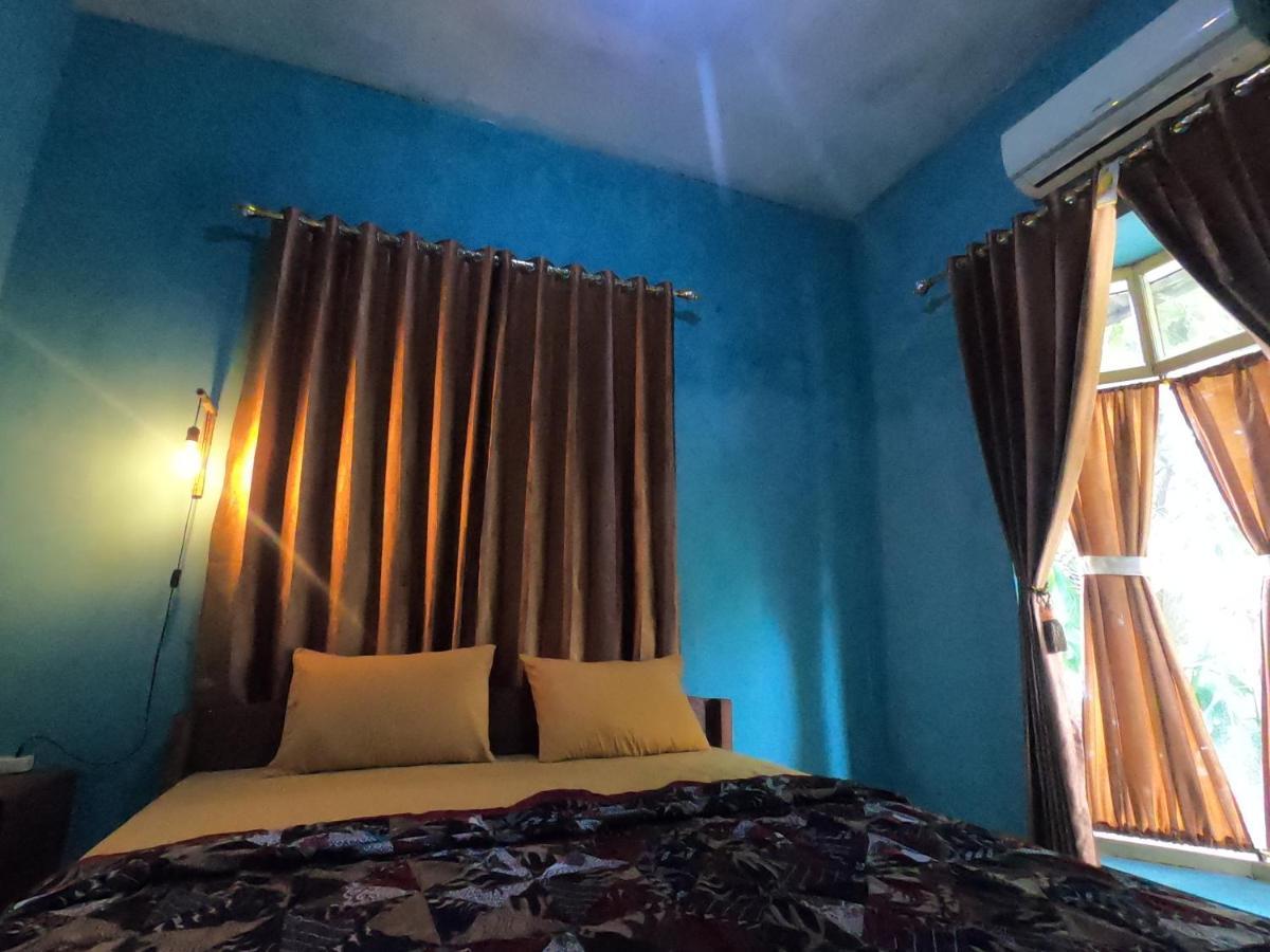 Owl Hostel 卡里蒙贾瓦 外观 照片