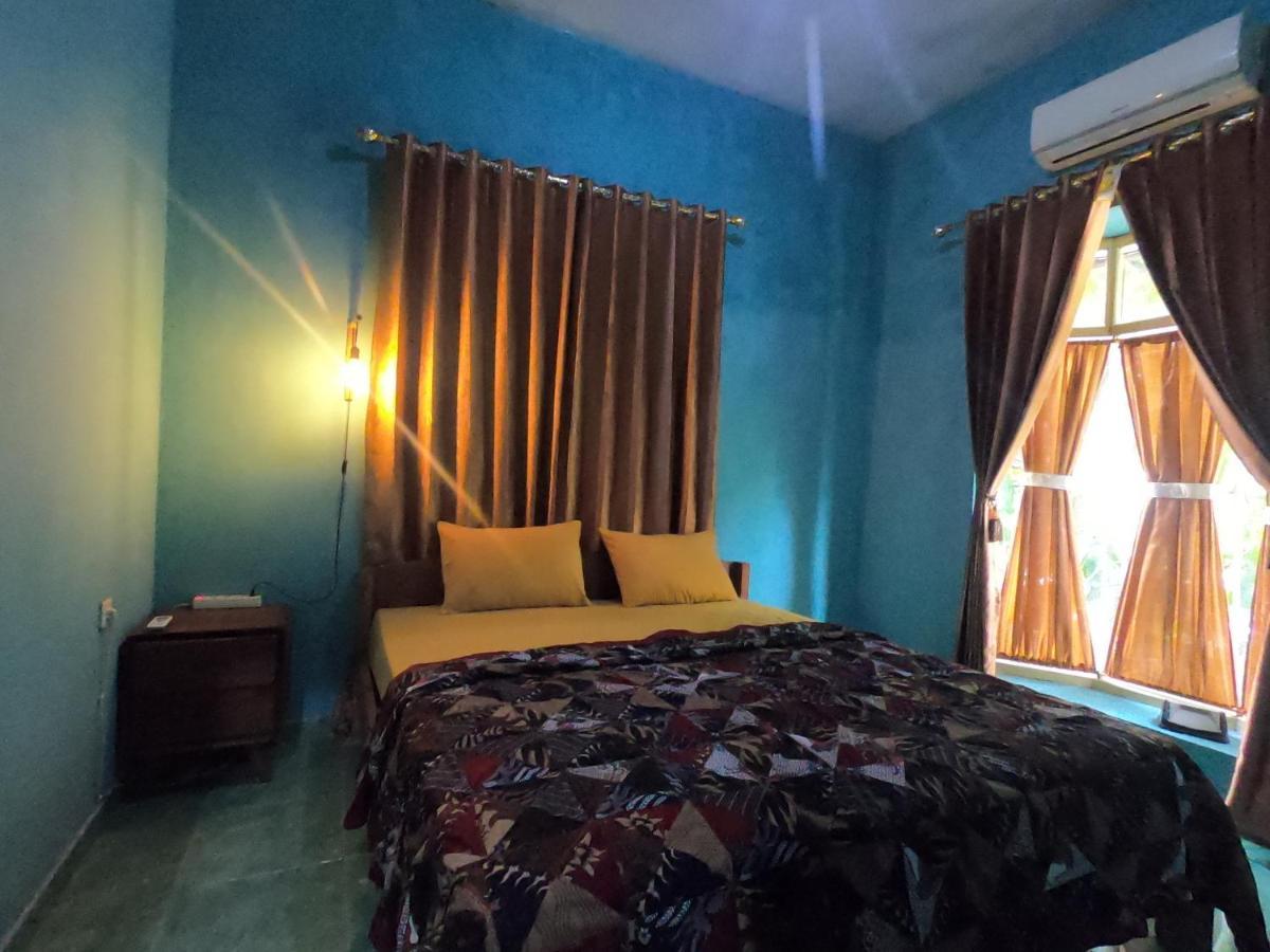 Owl Hostel 卡里蒙贾瓦 外观 照片