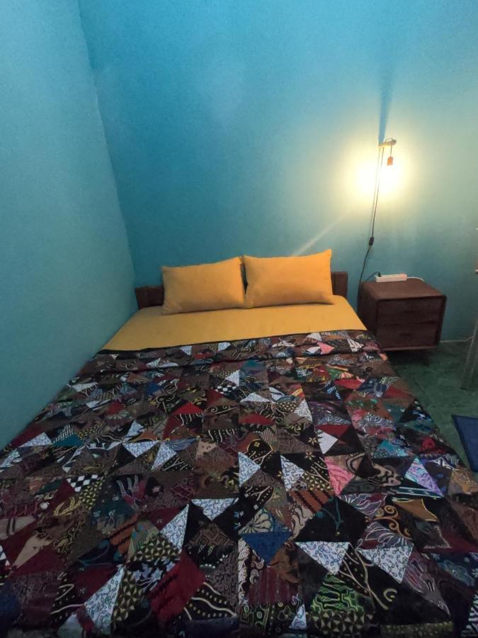 Owl Hostel 卡里蒙贾瓦 外观 照片