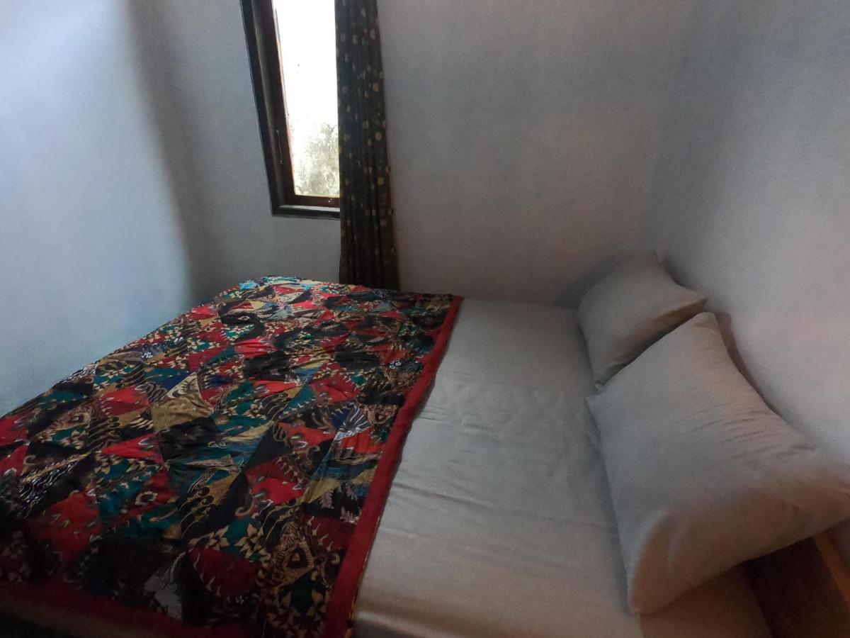 Owl Hostel 卡里蒙贾瓦 外观 照片