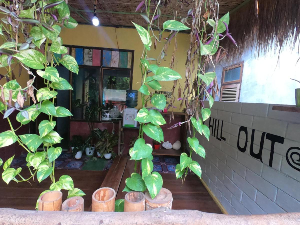 Owl Hostel 卡里蒙贾瓦 外观 照片