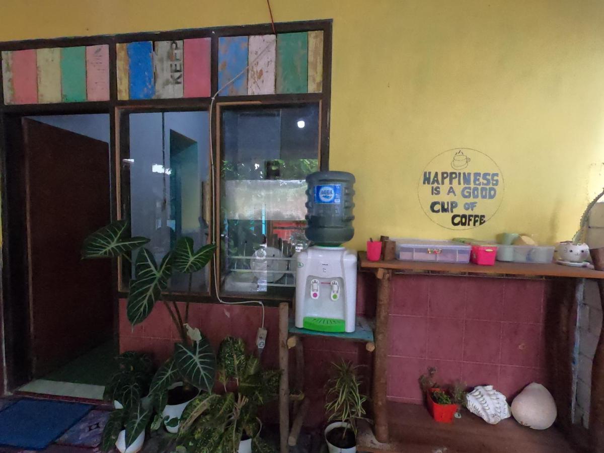 Owl Hostel 卡里蒙贾瓦 外观 照片