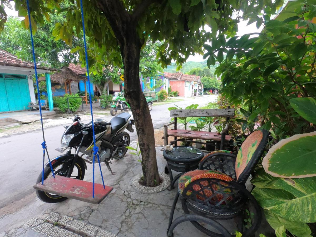 Owl Hostel 卡里蒙贾瓦 外观 照片