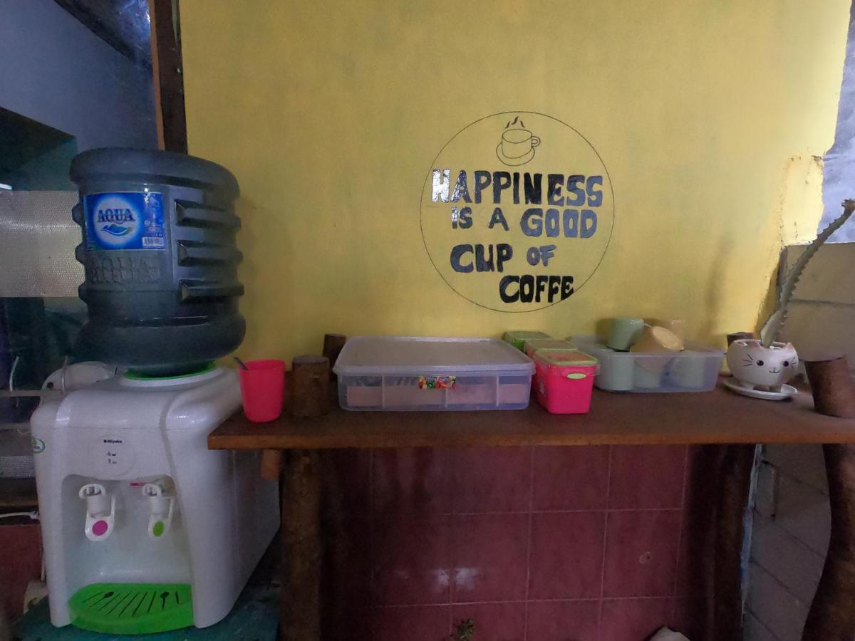 Owl Hostel 卡里蒙贾瓦 外观 照片