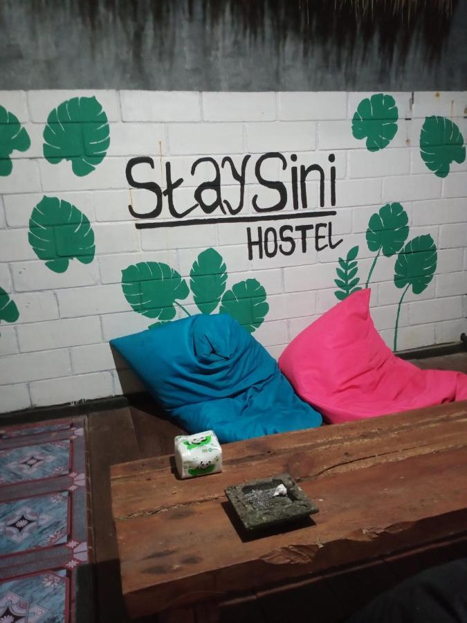 Owl Hostel 卡里蒙贾瓦 外观 照片
