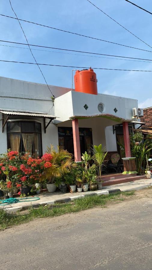 Owl Hostel 卡里蒙贾瓦 外观 照片